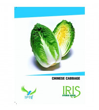 Iris F1 Chinese Cabbage 20 Seeds